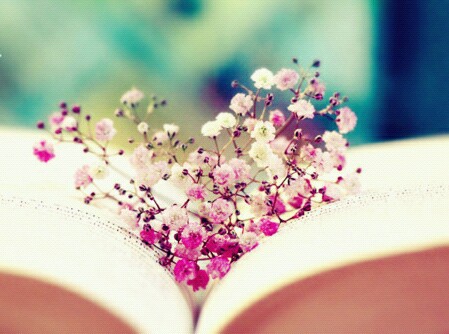 book-flowers-heart-love-Favim.com-2496160